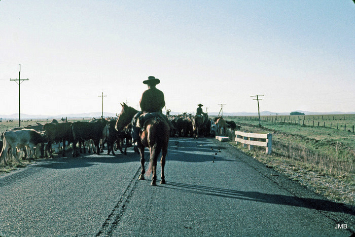 AÑO 1977 - COLOR - VIDA CAMPESINA EN PARAGUAY (JOSÉ MARÍA BLANCH)